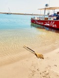 plage grau du roi