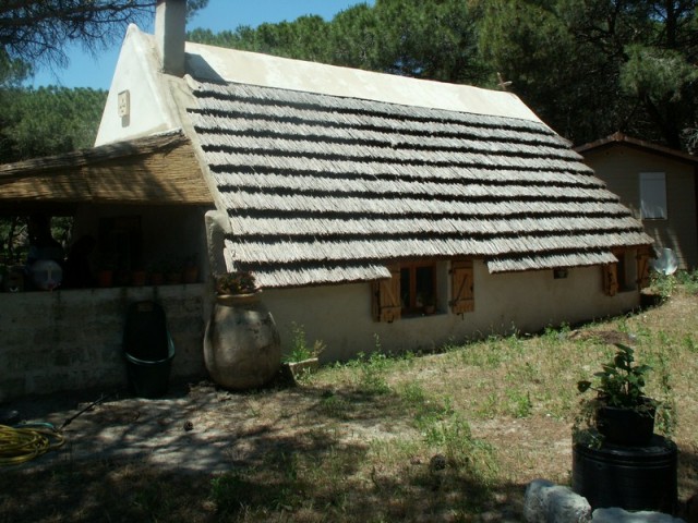 le-grau-du-roi-la-pinede-du-boucanet-103