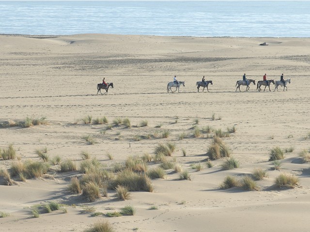 promenade-a-cheval-leranch-du-phare-1-2233