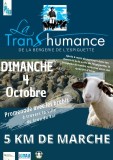 la-transhumancele-grauduroi-7038
