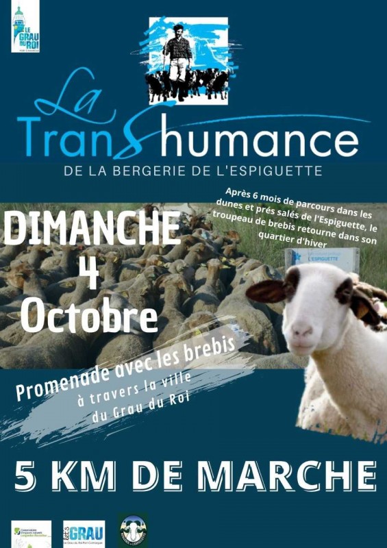 la-transhumancele-grauduroi-7038